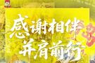 中超收官|西海岸vs亚泰首发:谭龙先发出战,邵佳一告别战!